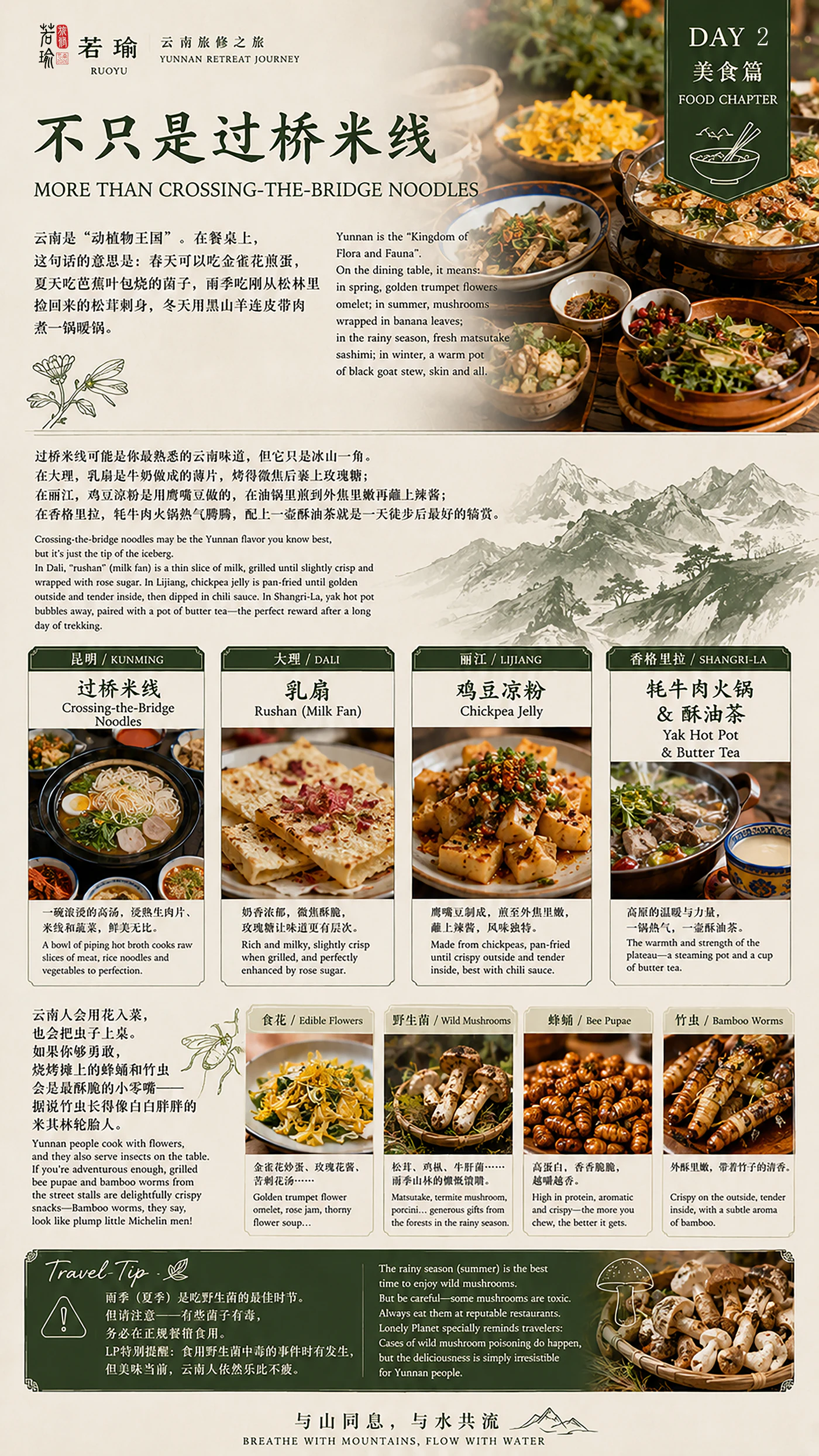 云南美食篇旅修预告海报