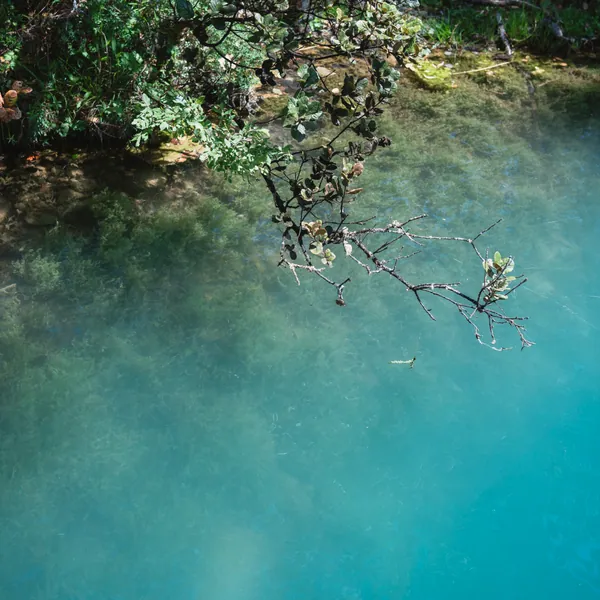 林间清澈的蓝色湖水